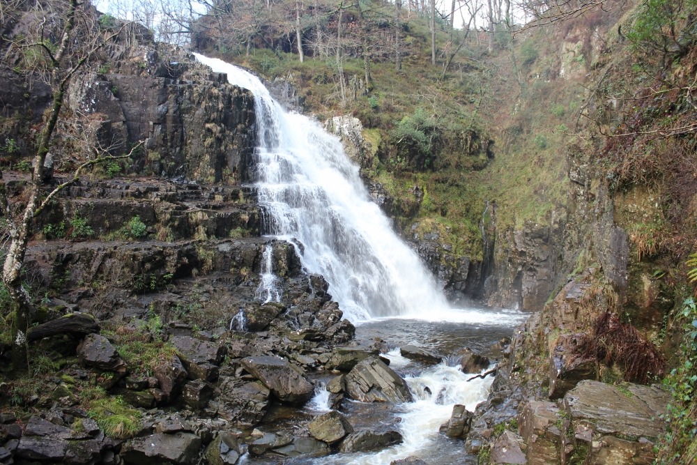Coed Y Brenin Waterfall