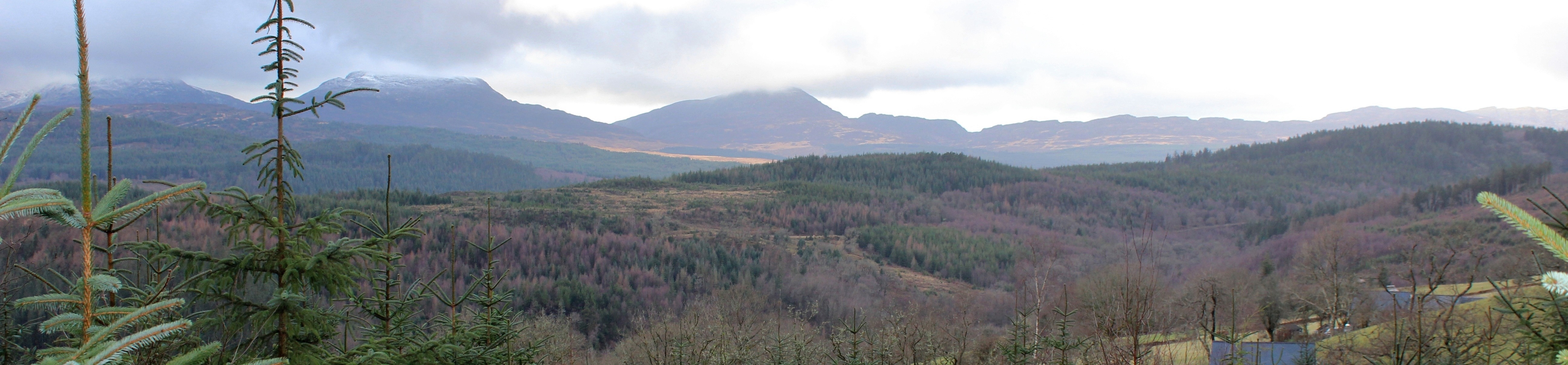 Volcano trail Coed y Brenin