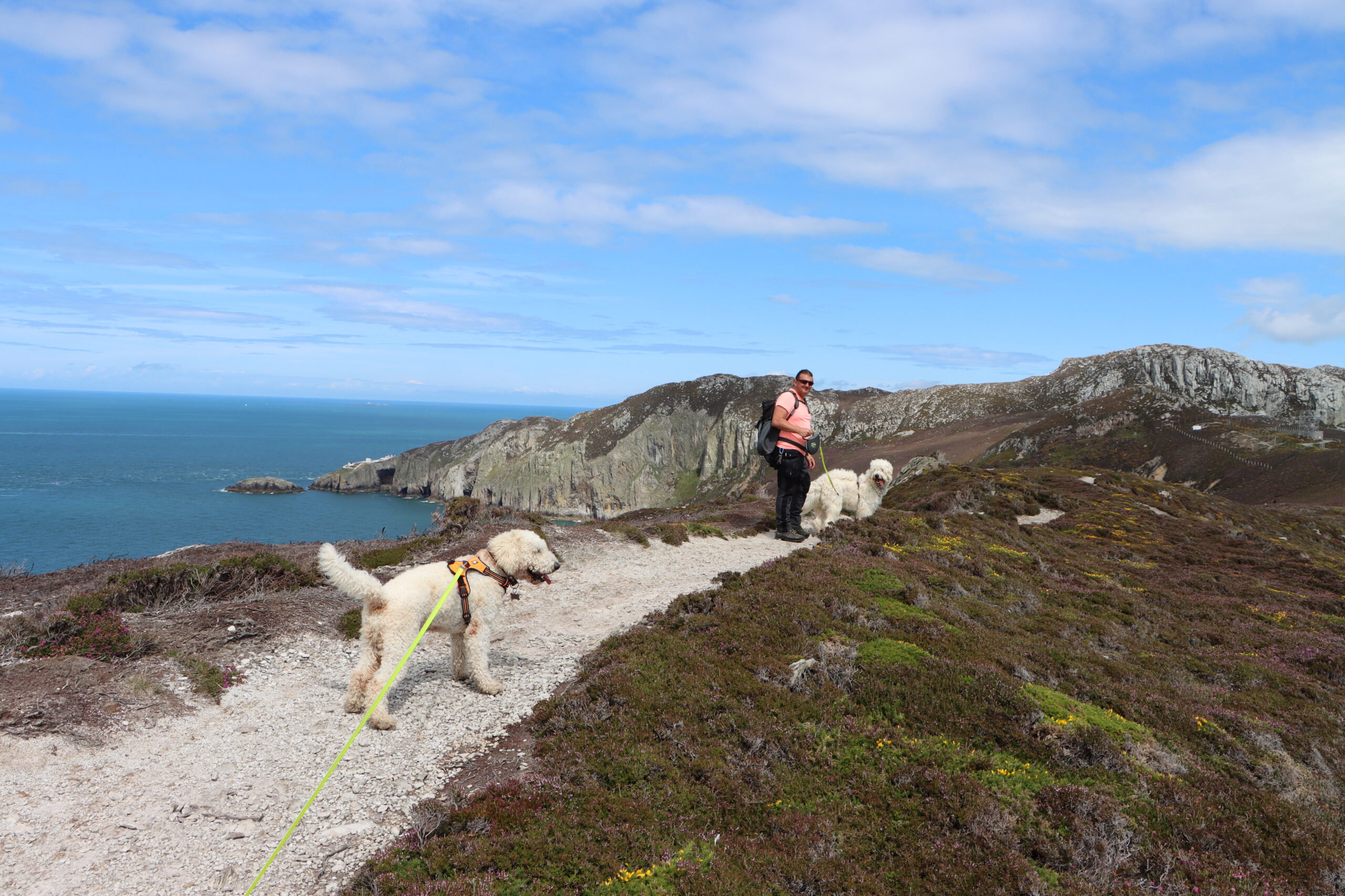 South Stack path