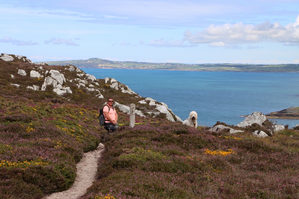 Path from South Stack