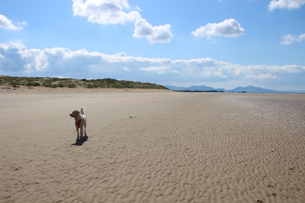 Newborough Beach