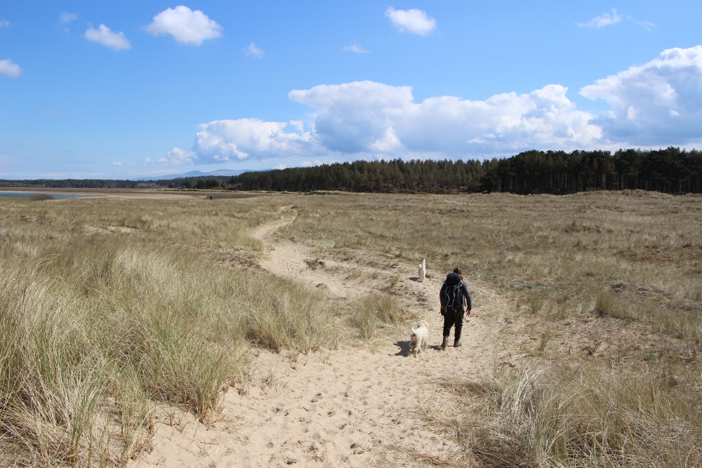 Moorland at Newborough