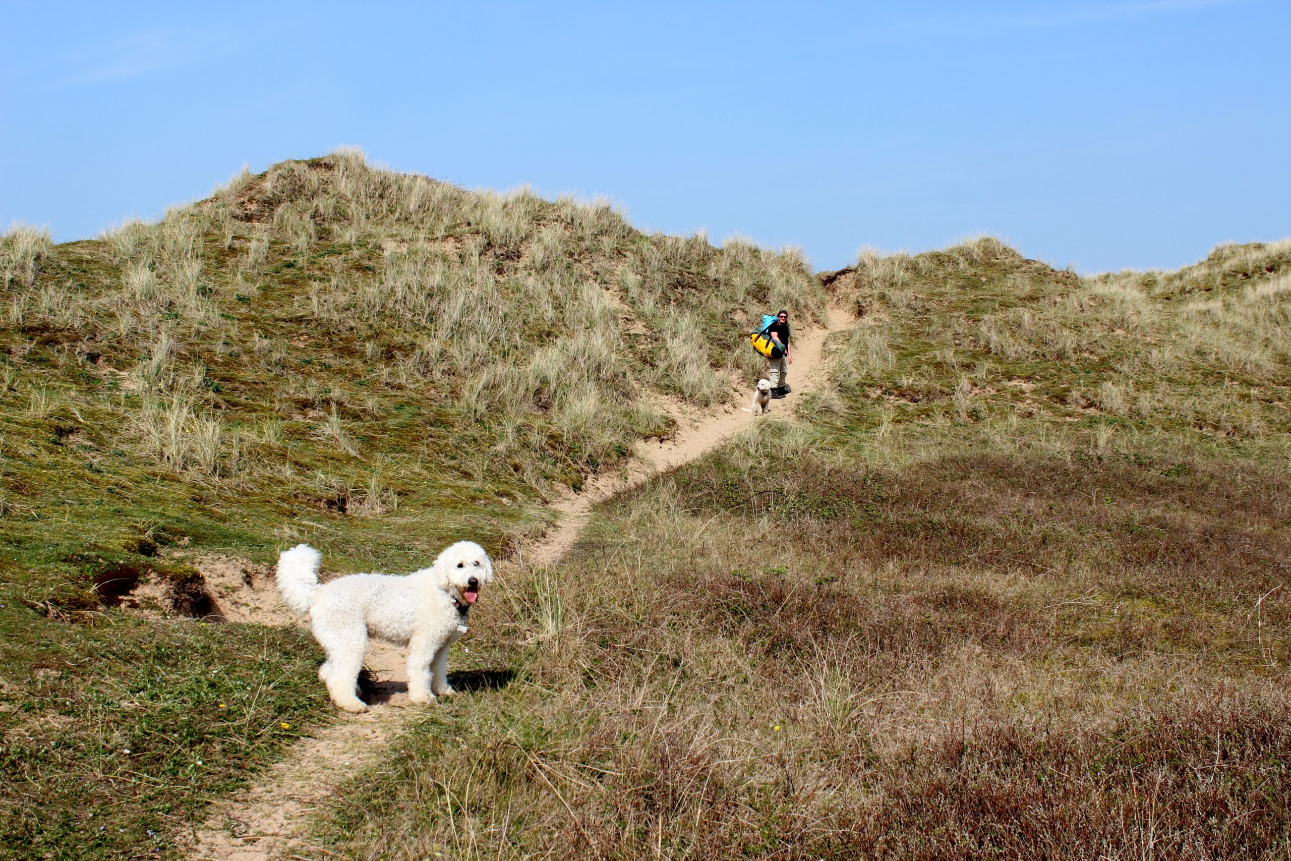 Aberffraw dunes