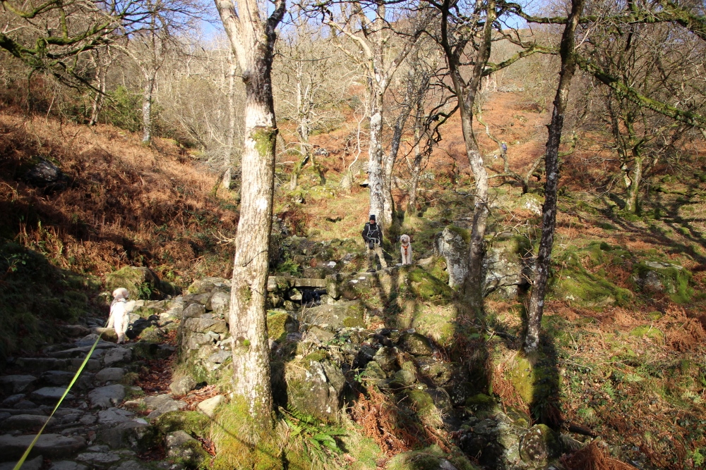 Minffordd path