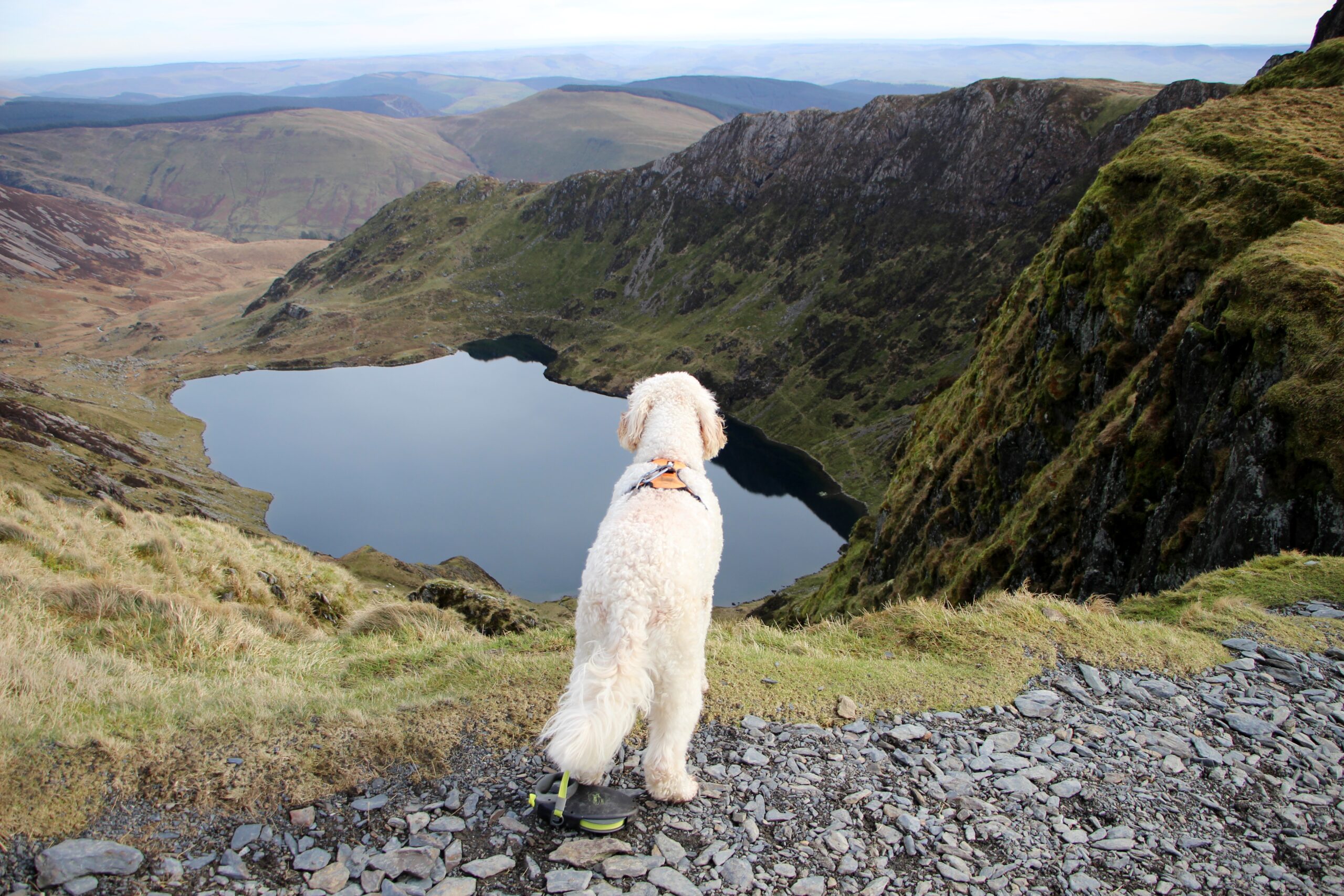 Llyn Cau