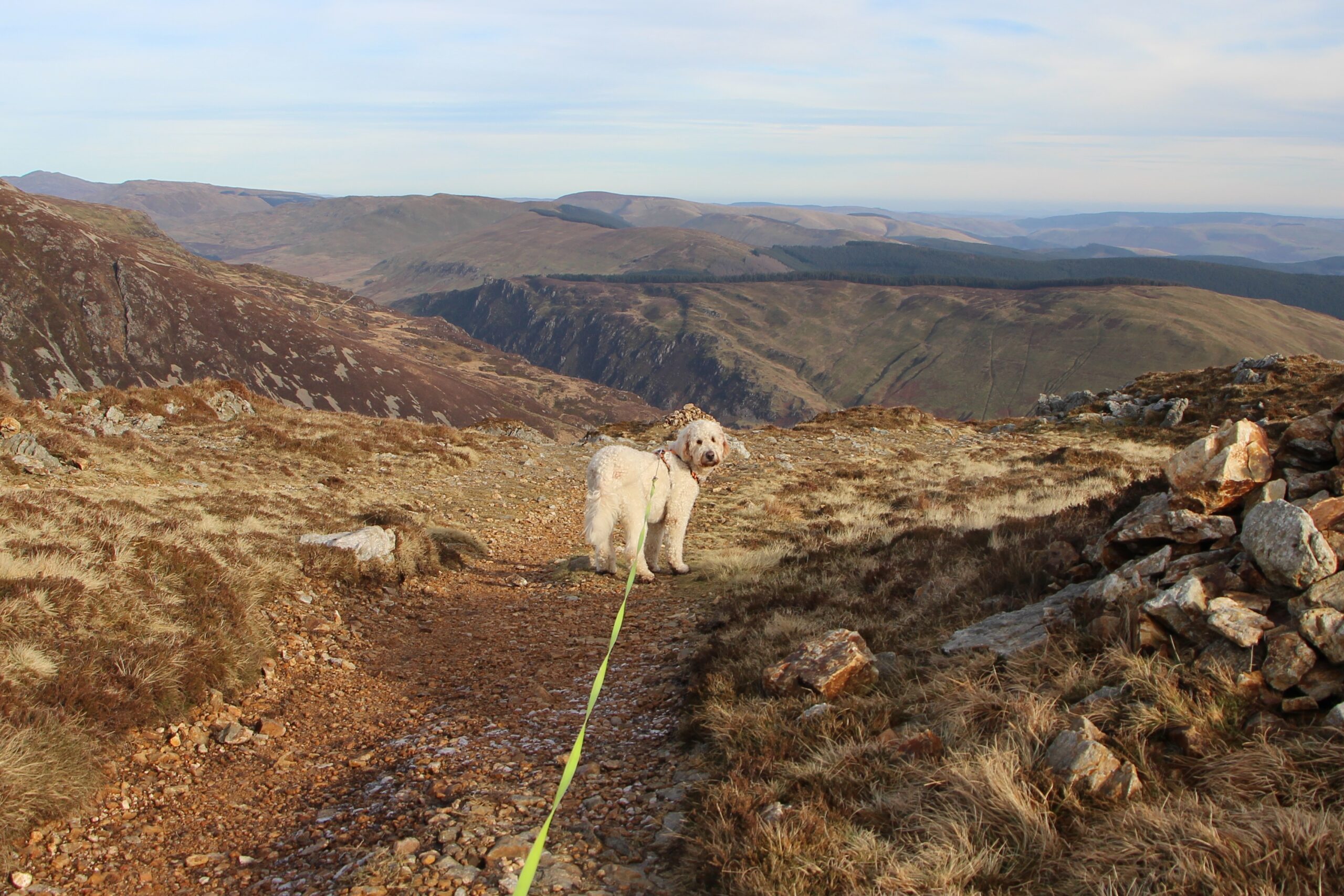 Cader Idris Minffordd path