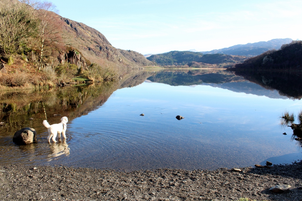 Llyn Dinas