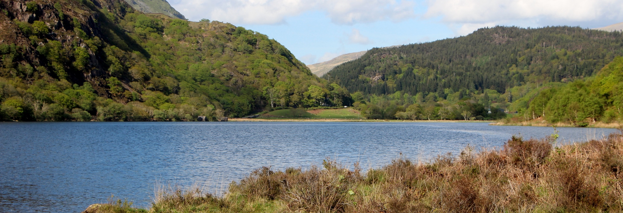 Llyn Dinas